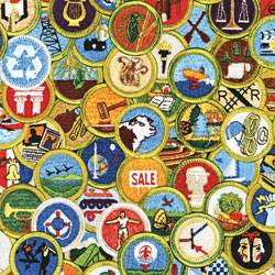 Merit Badge Resources,Jobs From Home