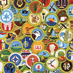 merit_badges