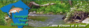 Dongal Trout Unlimited